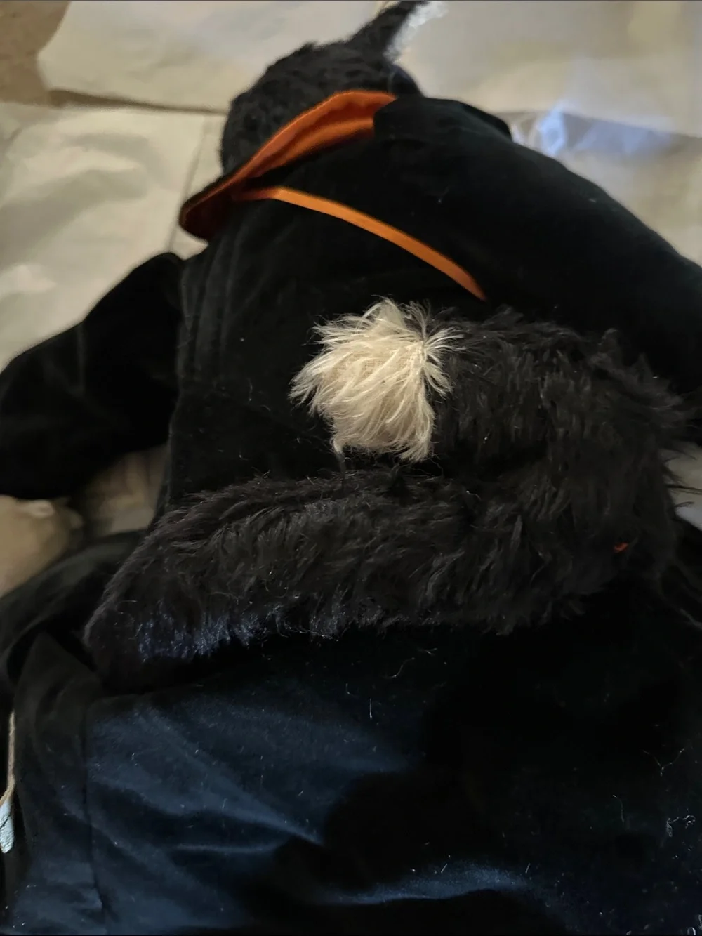 Bunnies By The Bay 1994 Witch Hazel Halloween Black Cat Plush 178 400